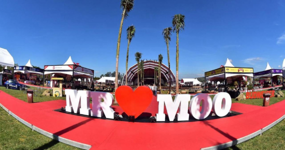 17ª Edição do Festival Mr. Moo 2024