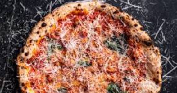 Bráz Elettrica apresenta O Retorno de Sr. Falco