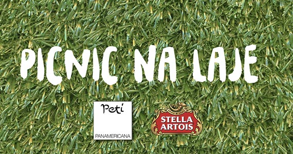 Stella Artois promove PicNic em parceria ao Petí Panamerica Angélica Eventos BaresSP 570x300 imagem