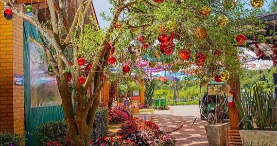 Natal e ano novo na Vila Don Patto