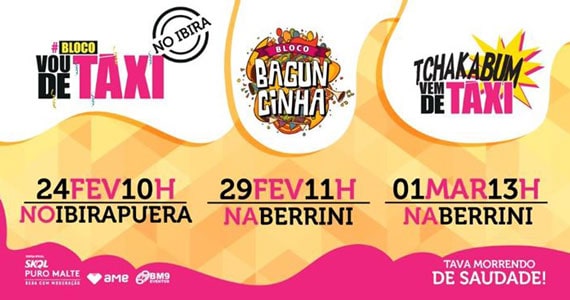 Bloco Vou de Táxi desfila Carnaval de rua em São Paulo