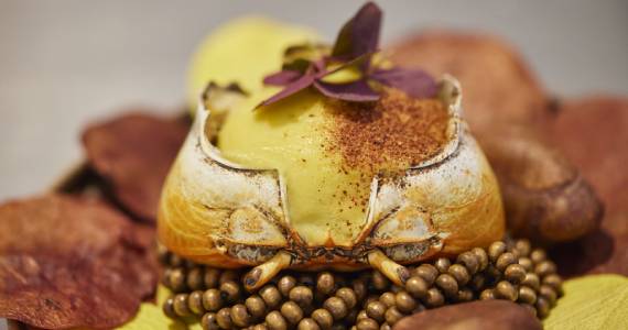 Espaço Priceless anuncia nova temporada Amazônia