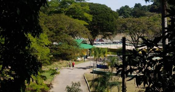 Horto Florestal de SP terá Café da Manhã Colonial 