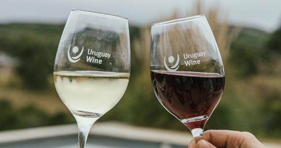 Masterclasses Uruguay Wine em São Paulo