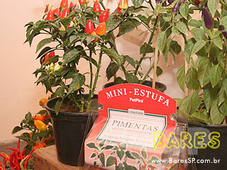 Segunda edição do Grandes Chefs VEJA São Paulo no Jockey Club Segunda edição do Grandes Chefs VEJA São Paulo no Jockey Club