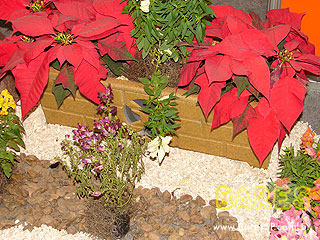 Nova Equipotel 2009 no Pavilhão de Exposições Anhembi Nova Equipotel 2009 no Pavilhão de Exposições Anhembi