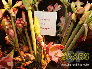 Vive La Fête no Cine Marrocos Vive La Fête no Cine Marrocos