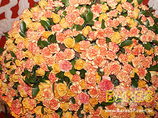 Vive La Fête no Cine Marrocos Vive La Fête no Cine Marrocos