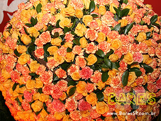 Vive La Fête no Cine Marrocos Vive La Fête no Cine Marrocos