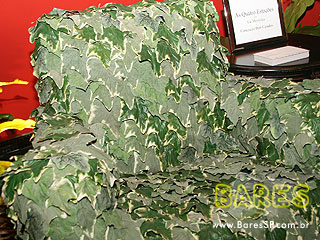 Vive La Fête no Cine Marrocos Vive La Fête no Cine Marrocos