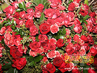 Vive La Fête no Cine Marrocos Vive La Fête no Cine Marrocos