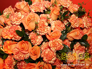 Vive La Fête no Cine Marrocos Vive La Fête no Cine Marrocos