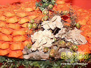 Vive La Fête no Cine Marrocos Vive La Fête no Cine Marrocos