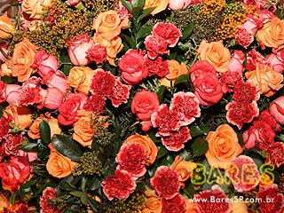 Vive La Fête no Cine Marrocos Vive La Fête no Cine Marrocos