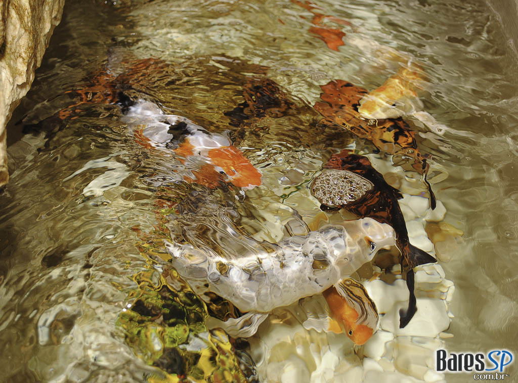 Happy Hour e esquenta para o fim de semana no Villa Caetano's Happy Hour e esquenta para o fim de semana no Villa Caetano's