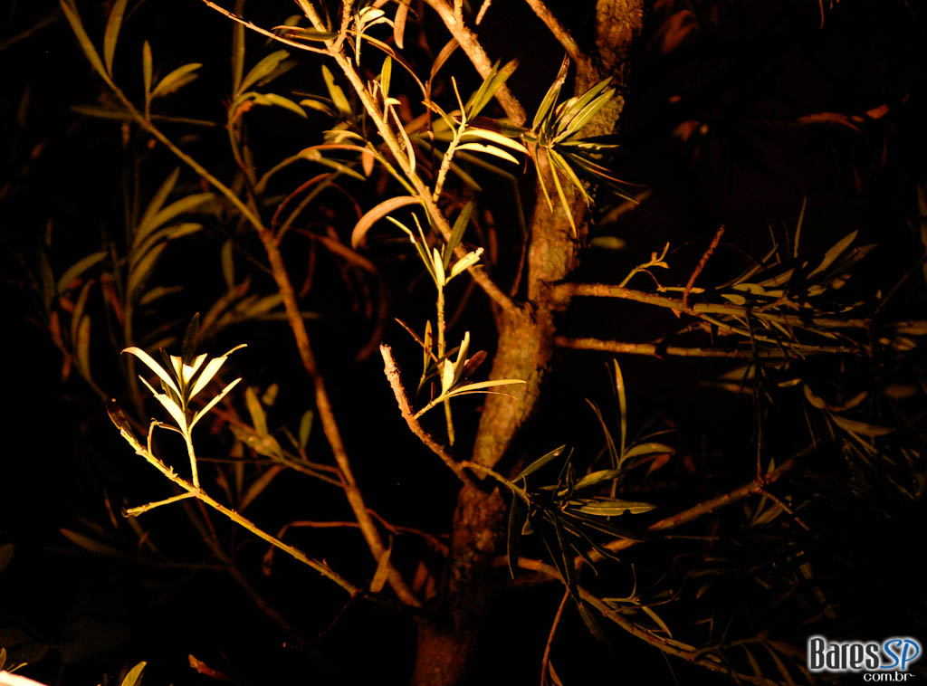 Inauguração do Espaço A Inauguração do Espaço A