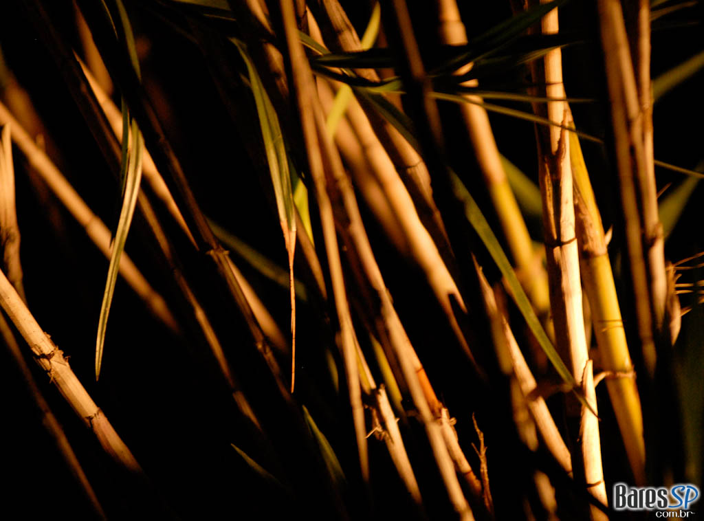 Inauguração do Espaço A Inauguração do Espaço A