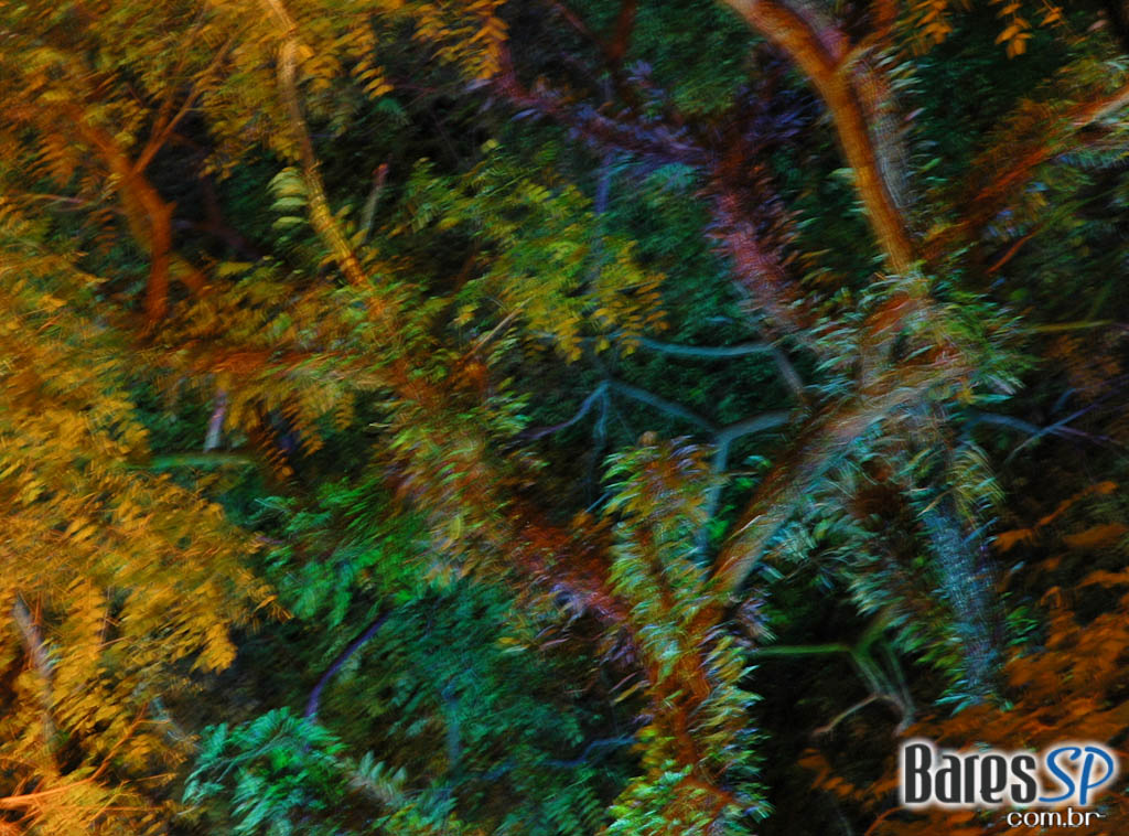 Vozes da MPB animam véspera de feriado no Barnaldo Lucrécia Vozes da MPB animam véspera de feriado no Barnaldo Lucrécia