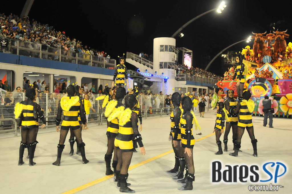 Tom Maior no Carnaval! Tom Maior no Carnaval!