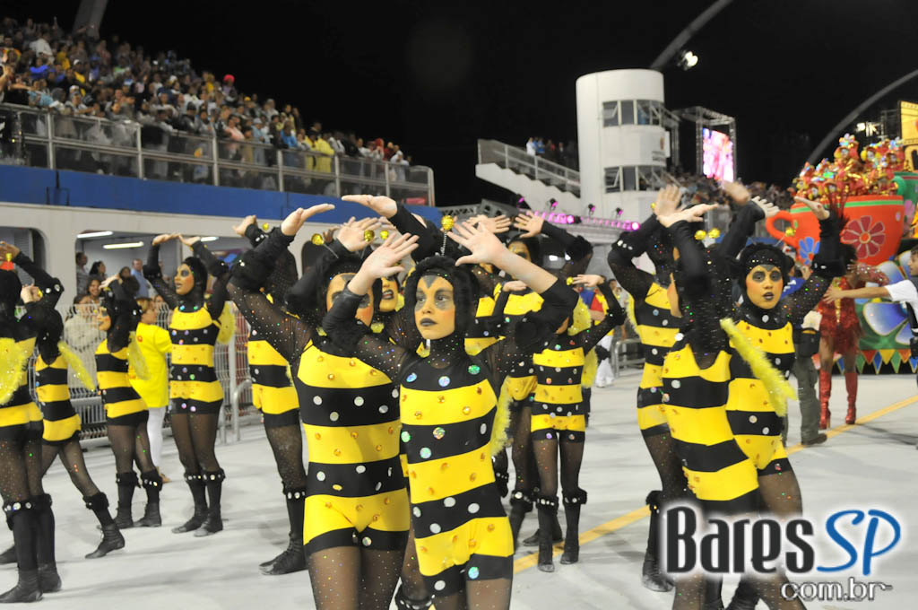 Tom Maior no Carnaval! Tom Maior no Carnaval!