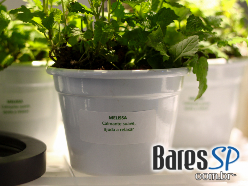 Lab & Factory recebeu o lançamento da nova bebida Slow Cow Lab & Factory recebeu o lançamento da nova bebida Slow Cow