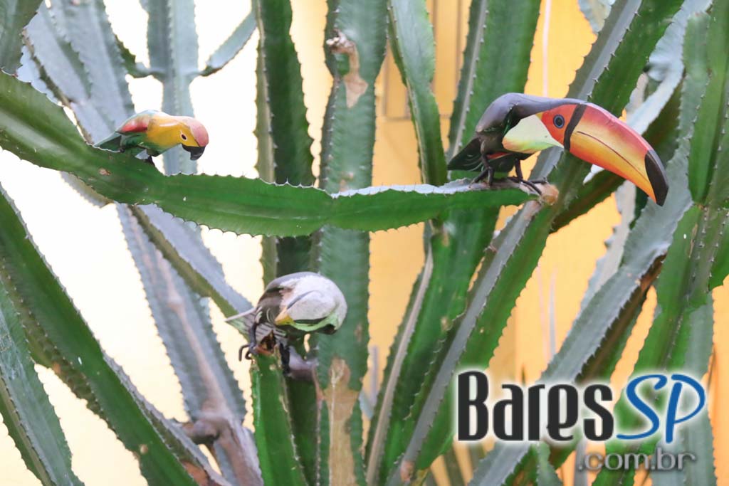 O Mocofava ofereceu gastronomia tipicamente nordestina na região da zona Norte - Unisal O Mocofava ofereceu gastronomia tipicamente nordestina na região da zona Norte - Unisal