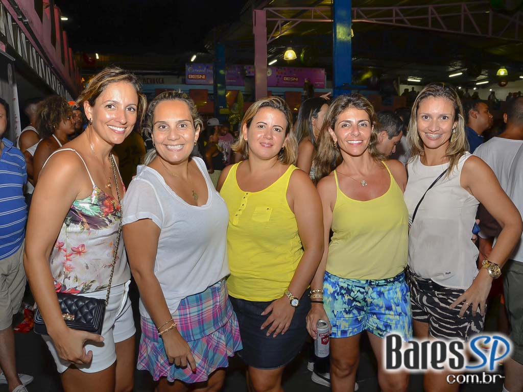 Ensaios da Escola de Samba Rosas de Ouro para o Carnaval de São Paulo 2015 Ensaios da Escola de Samba Rosas de Ouro para o Carnaval de São Paulo 2015