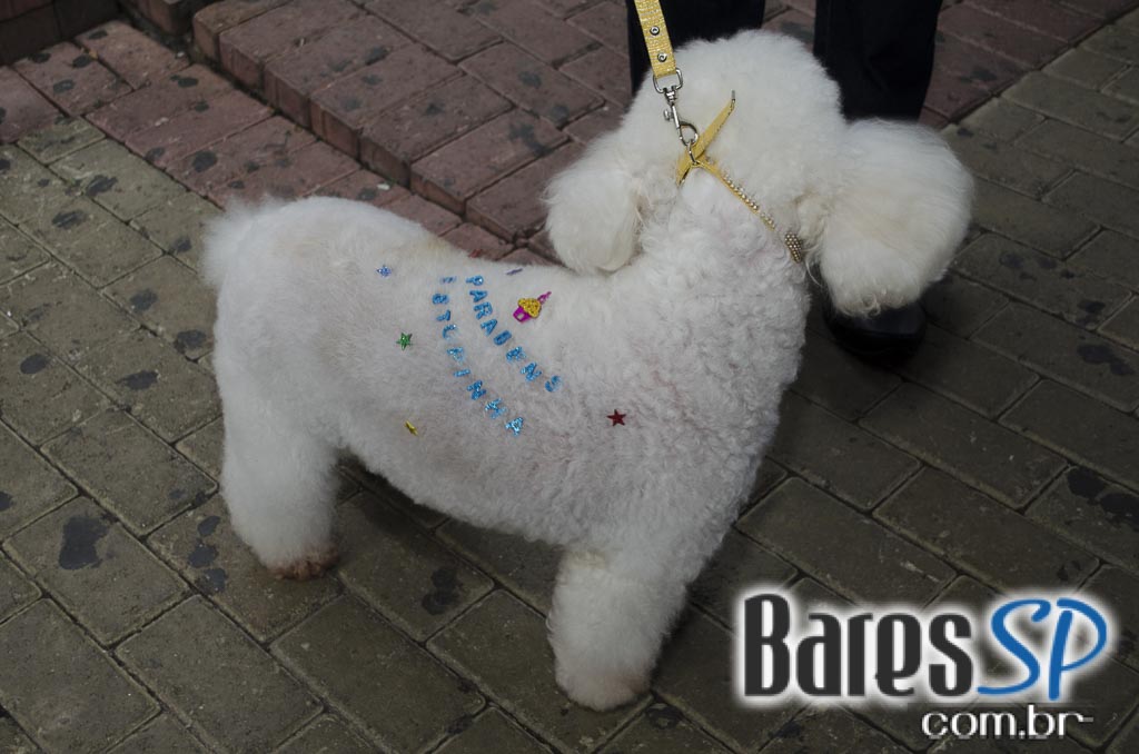 Casa 92 recebeu a festa da cachorra Estopinha em comemoração aos 2 milhões de fãs no Facebook Casa 92 recebeu a festa da cachorra Estopinha em comemoração aos 2 milhões de fãs no Facebook