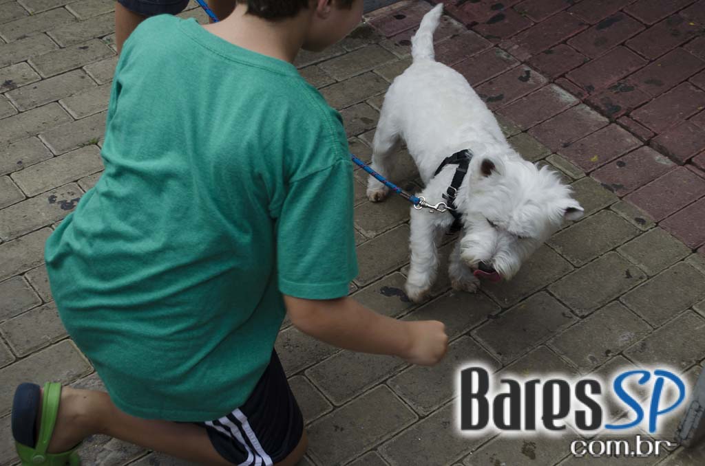 Casa 92 recebeu a festa da cachorra Estopinha em comemoração aos 2 milhões de fãs no Facebook Casa 92 recebeu a festa da cachorra Estopinha em comemoração aos 2 milhões de fãs no Facebook