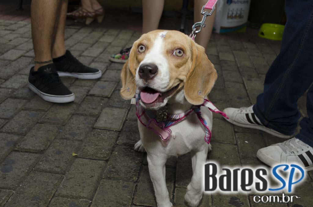 Casa 92 recebeu a festa da cachorra Estopinha em comemoração aos 2 milhões de fãs no Facebook