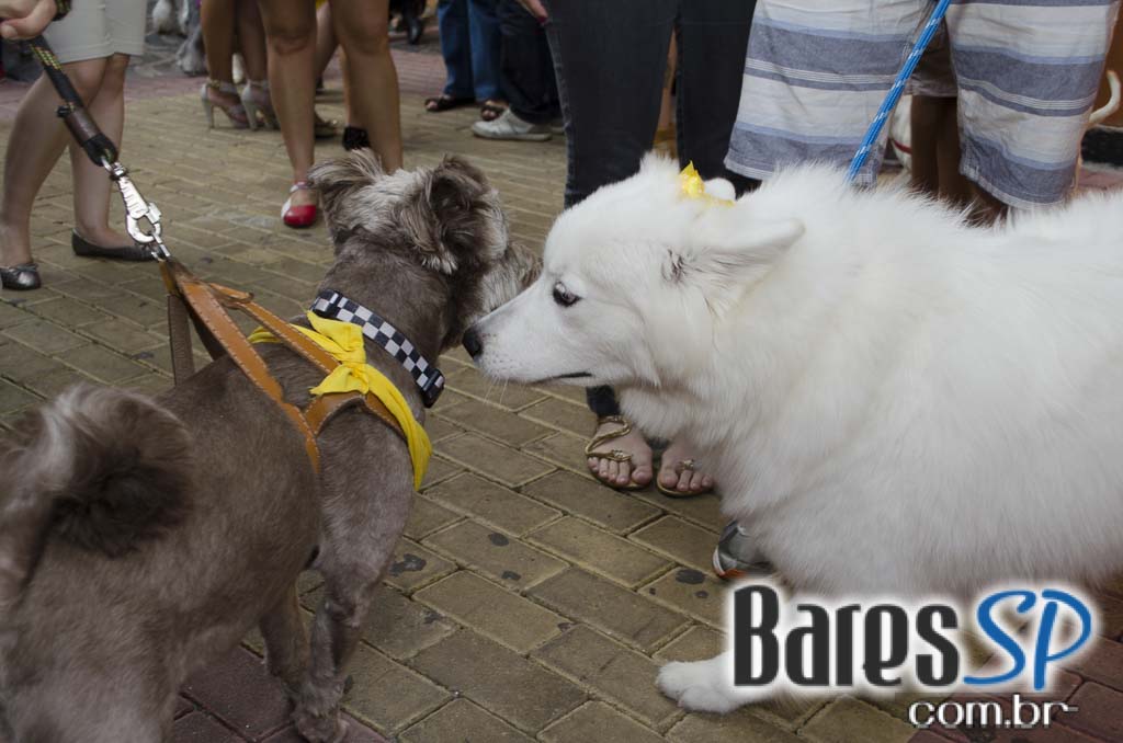 Casa 92 recebeu a festa da cachorra Estopinha em comemoração aos 2 milhões de fãs no Facebook Casa 92 recebeu a festa da cachorra Estopinha em comemoração aos 2 milhões de fãs no Facebook