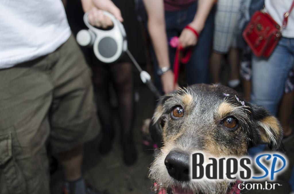 Casa 92 recebeu a festa da cachorra Estopinha em comemoração aos 2 milhões de fãs no Facebook Casa 92 recebeu a festa da cachorra Estopinha em comemoração aos 2 milhões de fãs no Facebook