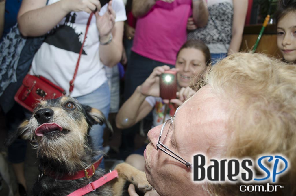 Casa 92 recebeu a festa da cachorra Estopinha em comemoração aos 2 milhões de fãs no Facebook Casa 92 recebeu a festa da cachorra Estopinha em comemoração aos 2 milhões de fãs no Facebook