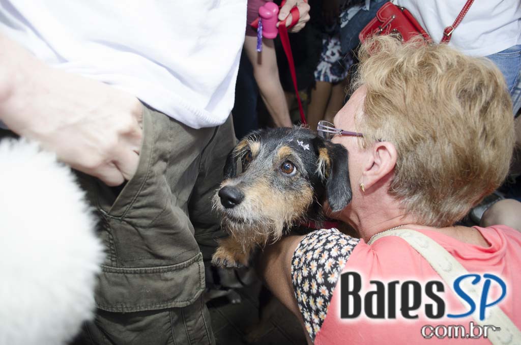 Casa 92 recebeu a festa da cachorra Estopinha em comemoração aos 2 milhões de fãs no Facebook Casa 92 recebeu a festa da cachorra Estopinha em comemoração aos 2 milhões de fãs no Facebook