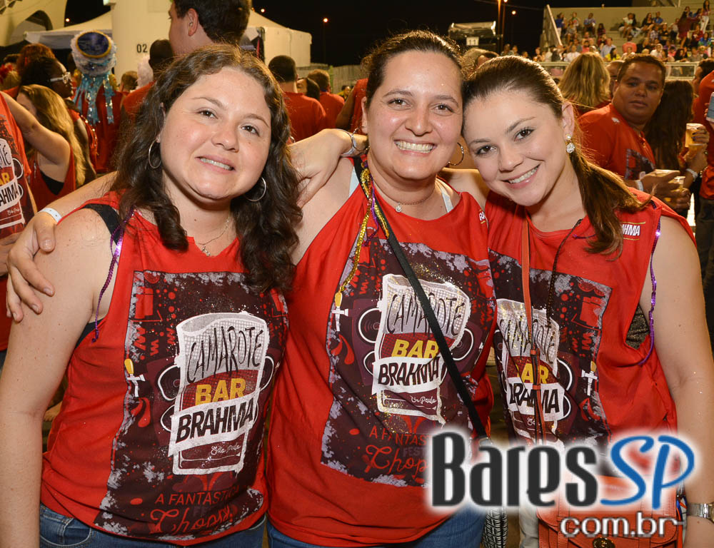 Desfile das Campeãs com show de Zeca Pagodinho do Camarote Bar Brahma Desfile das Campeãs com show de Zeca Pagodinho do Camarote Bar Brahma