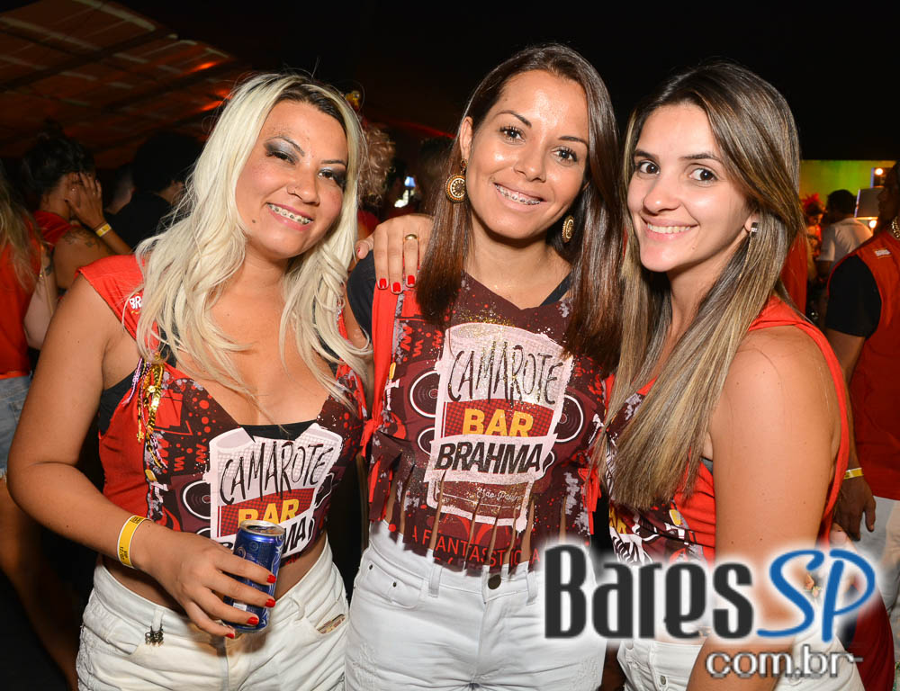 Desfile das Campeãs com show de Zeca Pagodinho do Camarote Bar Brahma Desfile das Campeãs com show de Zeca Pagodinho do Camarote Bar Brahma