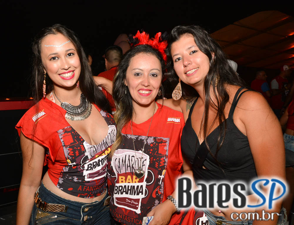 Desfile das Campeãs com show de Zeca Pagodinho do Camarote Bar Brahma Desfile das Campeãs com show de Zeca Pagodinho do Camarote Bar Brahma