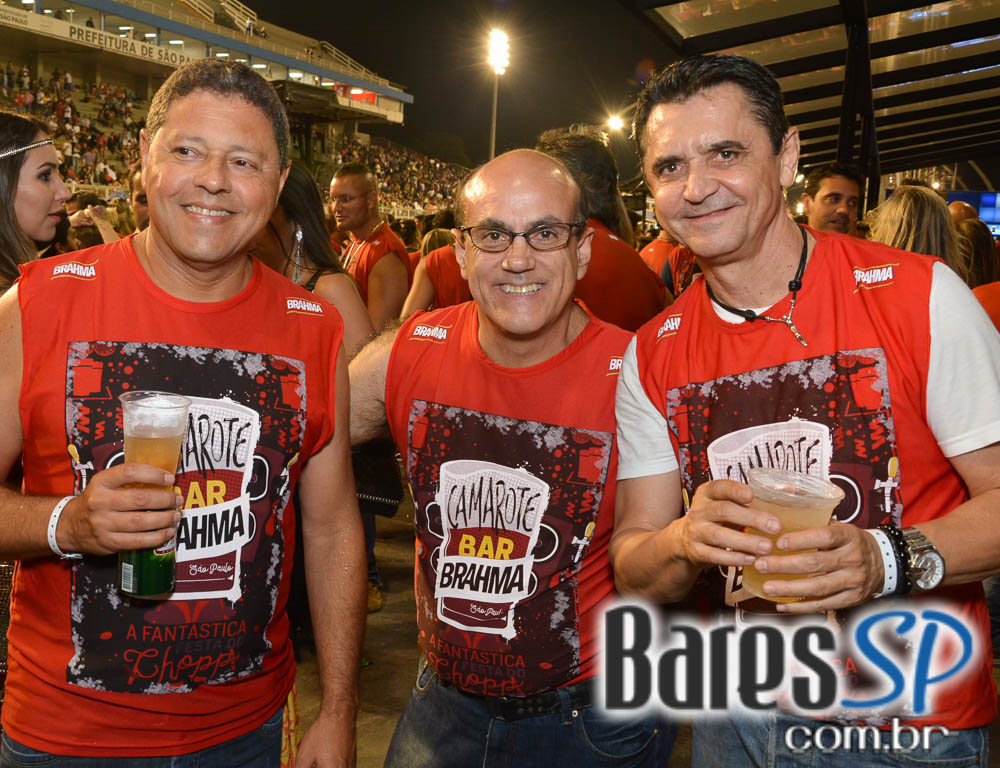 Desfile das Campeãs com show de Zeca Pagodinho do Camarote Bar Brahma Desfile das Campeãs com show de Zeca Pagodinho do Camarote Bar Brahma