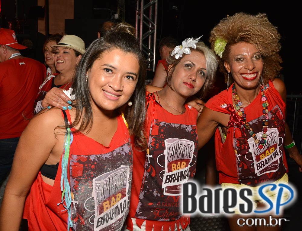 Desfile das Campeãs com show de Zeca Pagodinho do Camarote Bar Brahma Desfile das Campeãs com show de Zeca Pagodinho do Camarote Bar Brahma