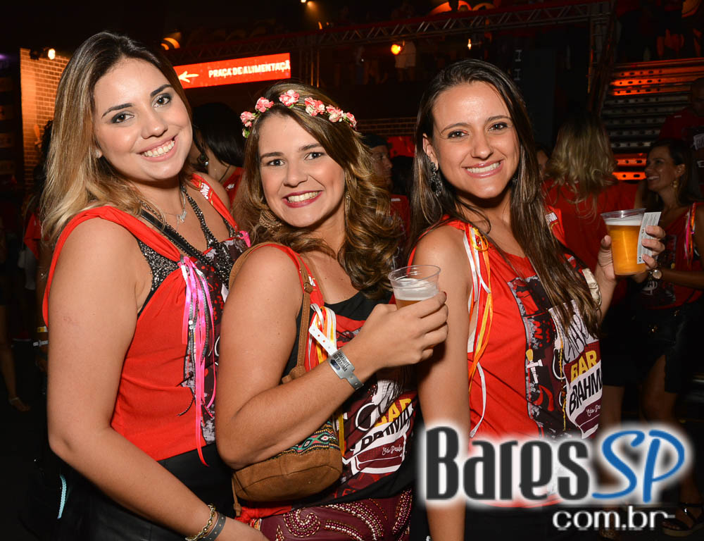 Desfile das Campeãs com show de Zeca Pagodinho do Camarote Bar Brahma Desfile das Campeãs com show de Zeca Pagodinho do Camarote Bar Brahma