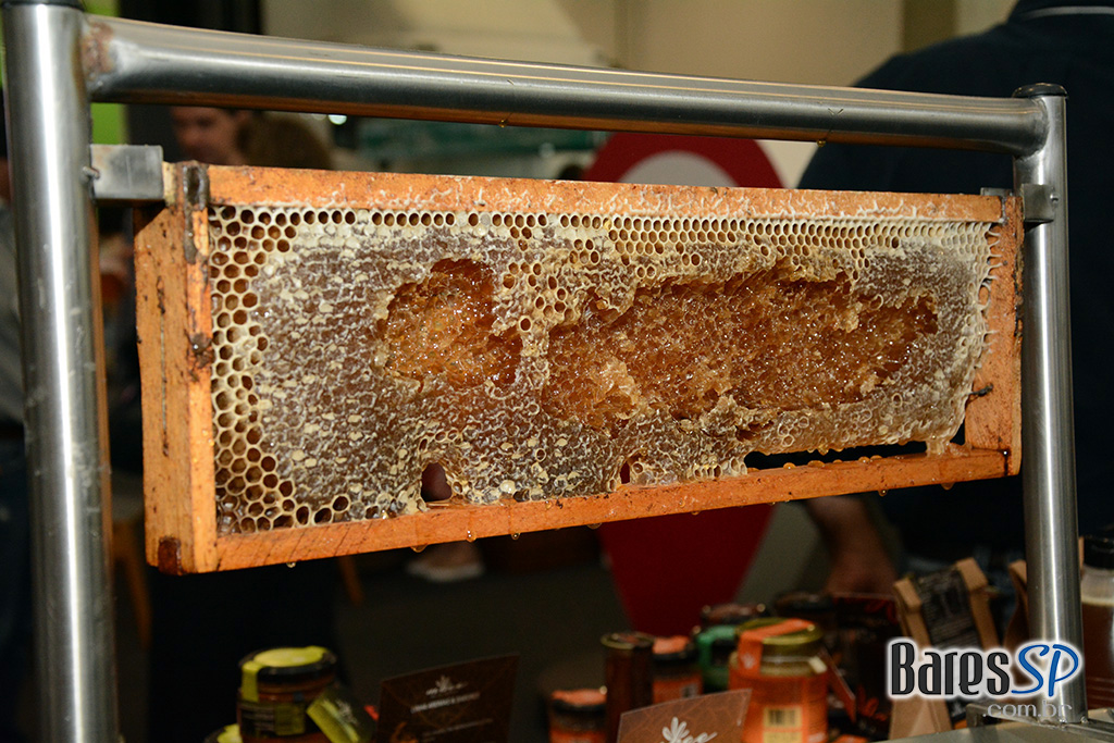 Anufood 2020 Anufood 2020