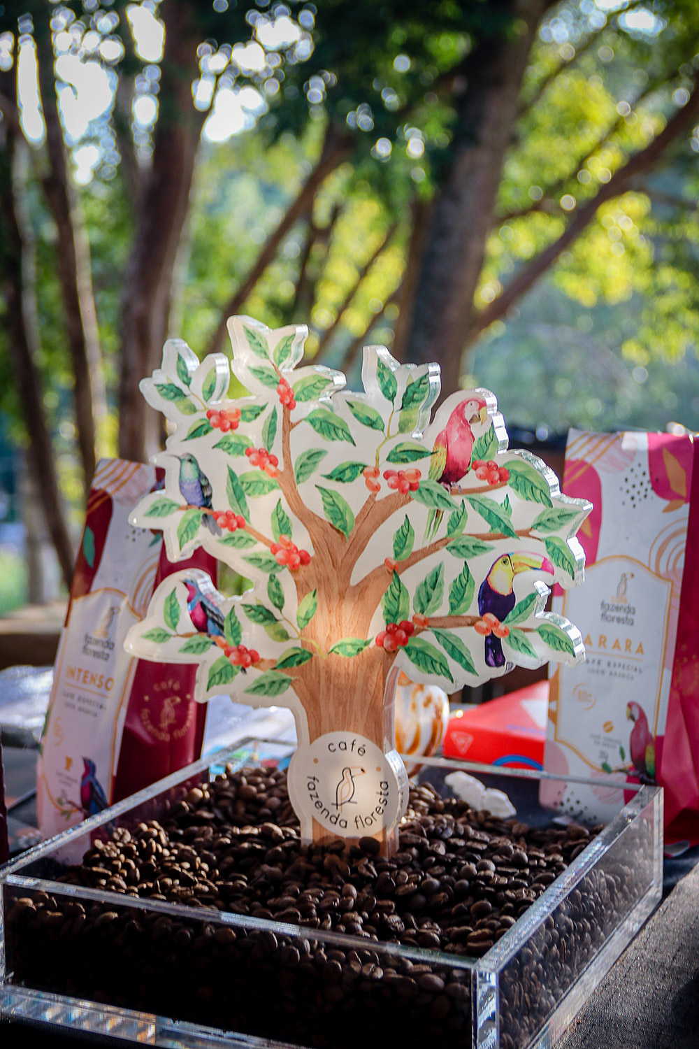 Dia do Café 2023 Dia do Café 2023