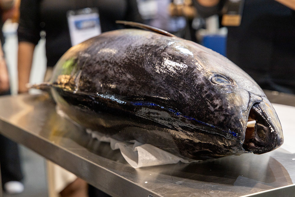 23-10 Seafood Show Latin America 2024 23-10 Seafood Show Latin America 2024