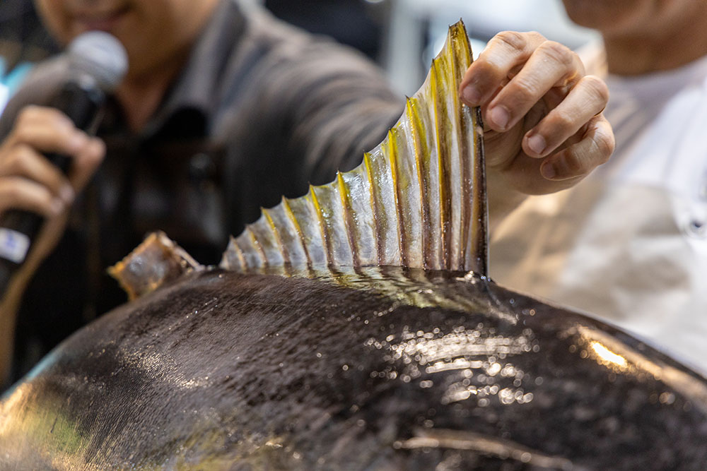 23-10 Seafood Show Latin America 2024 23-10 Seafood Show Latin America 2024