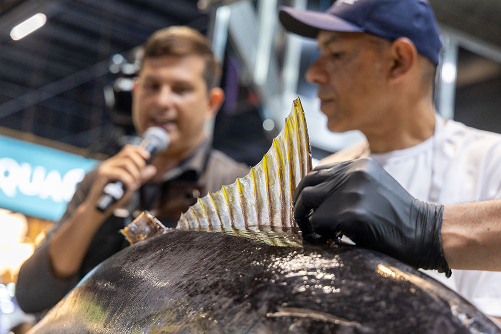 23-10 Seafood Show Latin America 2024 23-10 Seafood Show Latin America 2024