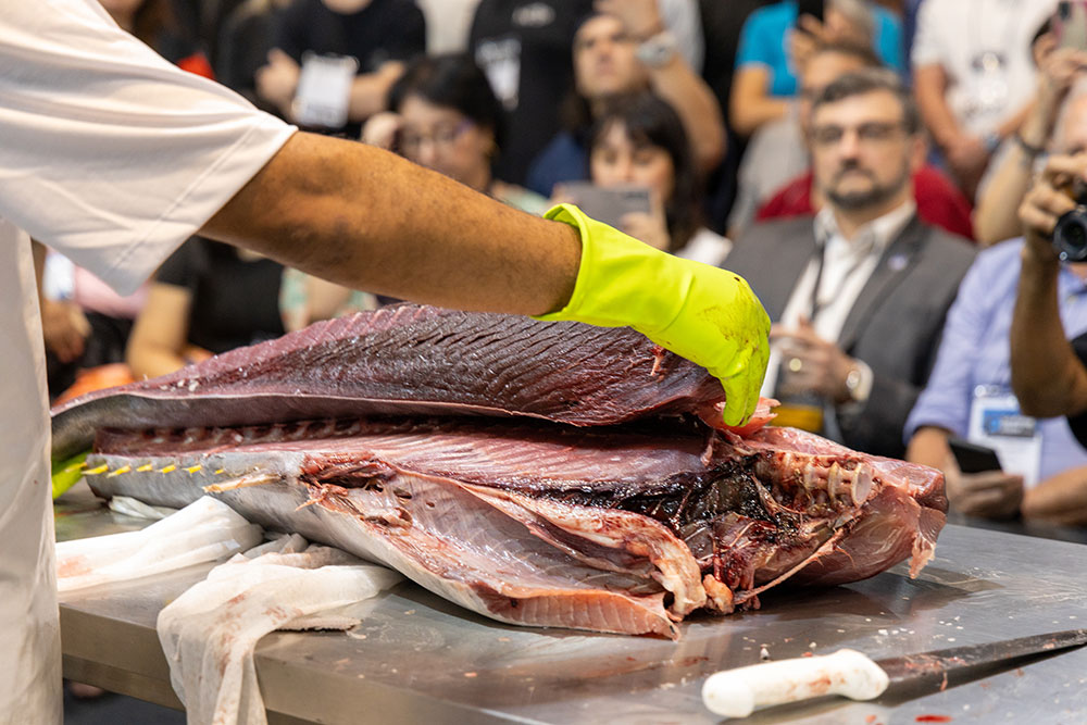 23-10 Seafood Show Latin America 2024 23-10 Seafood Show Latin America 2024
