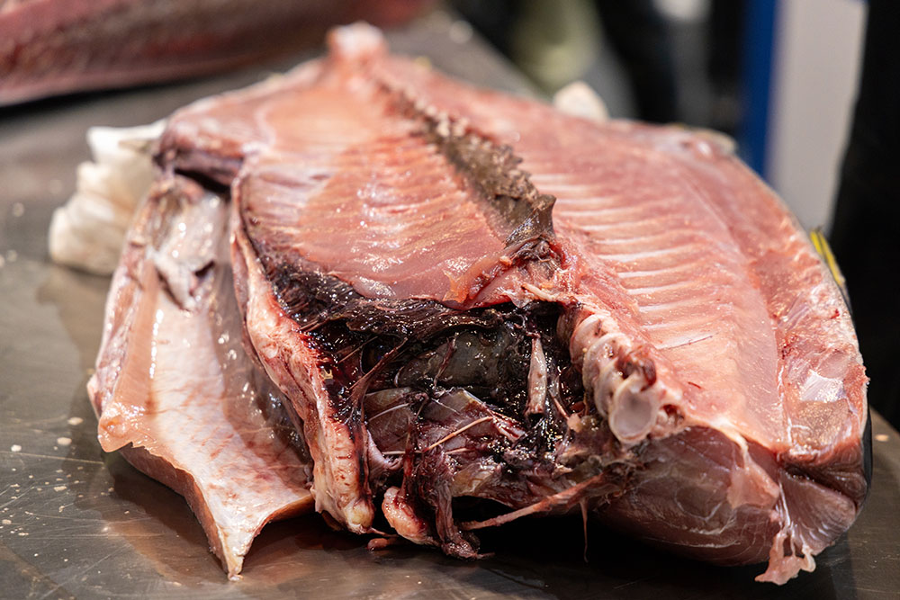 23-10 Seafood Show Latin America 2024 23-10 Seafood Show Latin America 2024