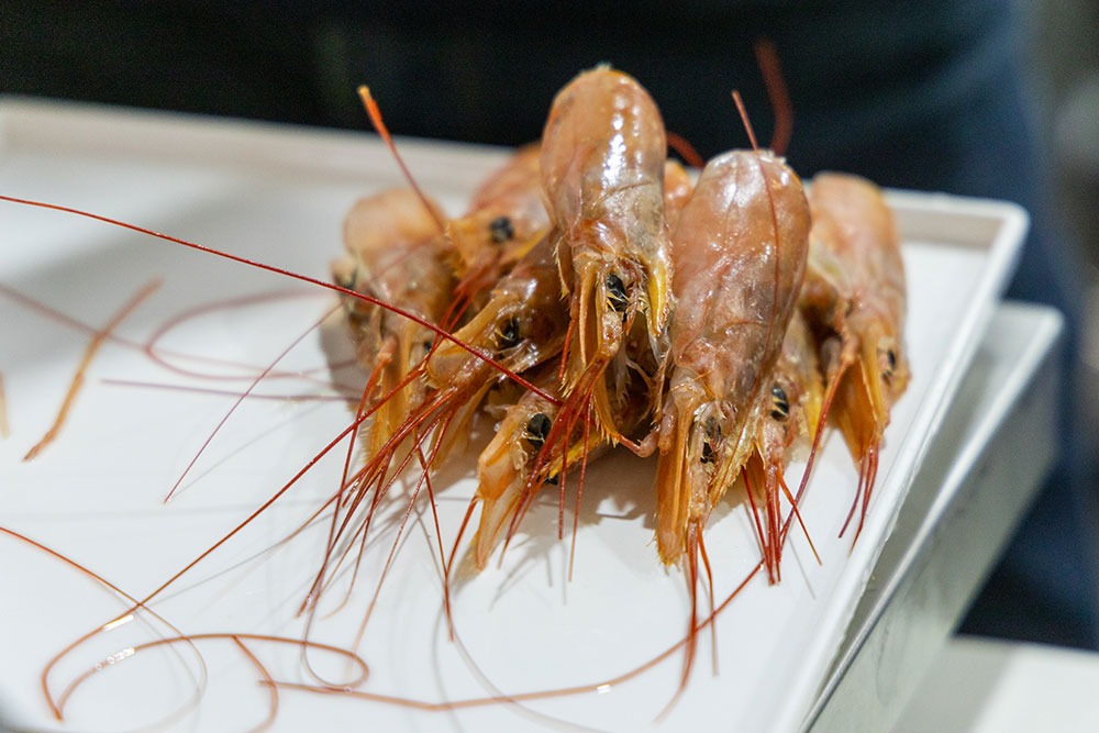 24-10 Seafood Show Latin America 2024 24-10 Seafood Show Latin America 2024