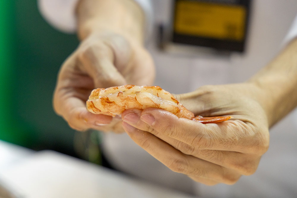 24-10 Seafood Show Latin America 2024 24-10 Seafood Show Latin America 2024