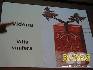 Palestra da Confraria do Comer Bem no Porto Rubaiyat Palestra da Confraria do Comer Bem no Porto Rubaiyat